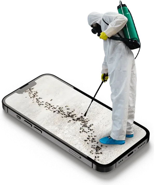 disinfestatore e telefono con immagine infestazione formiche