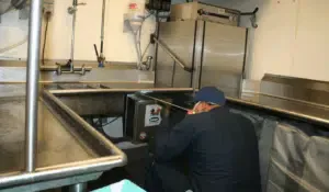 disinfestazione blatte e scarafaggi in ufficio o in azienda