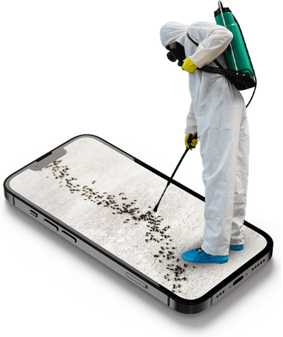 disinfestatore e telefono con immagine infestazione formiche