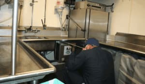 disinfestazione blatte e scarafaggi in ufficio o in azienda