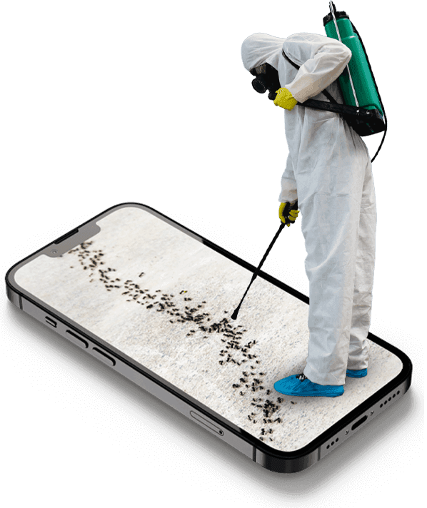 disinfestatore e telefono con immagine infestazione formiche