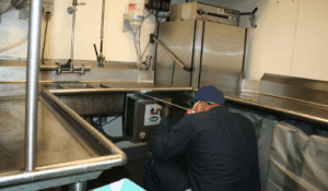 disinfestazione blatte e scarafaggi in ufficio o in azienda