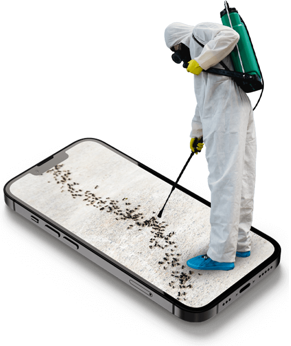 disinfestatore e telefono con immagine infestazione formiche